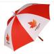 Product icon 1 for Budget Golf Umbrella