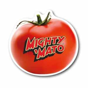 Product image 1 for Tomato Magnet