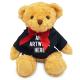 Product icon 2 for 18cm William Bear