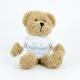 Product icon 2 for 25cm Scruffy Bear
