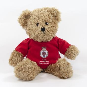 Product image 4 for 25cm Scruffy Bear