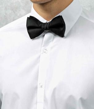 Product image 1 for Bow Tie