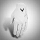Product icon 1 for Callaway Tour Authentic Golf Glove
