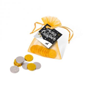 Product image 1 for Christmas Gold Coins
