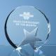 Product icon 1 for Circle Award with Silver Star