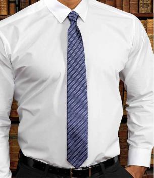 Product image 1 for Double Stripe Business Tie