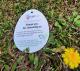 Product icon 1 for Egg Shaped Seed Paper Swing Tag