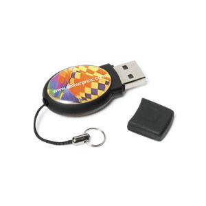 Product image 1 for Epoxy Oval USB Flash Drive