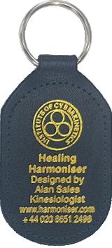 Product image 1 for Fat Oblong Recycled Leather Keyfob