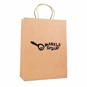 Product image 1 for Large Paper Bag