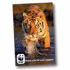 Product image 1 for Magnetic Business Card