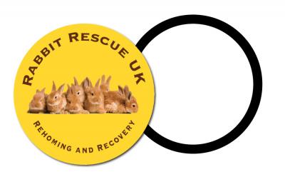 Product image 2 for Magnetic Tax Disc Holder