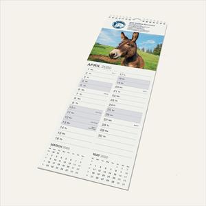 Product image 1 for Midi Wall Calendar