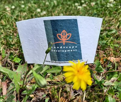 Product image 3 for Seed Paper Coffee Cup Sleeve