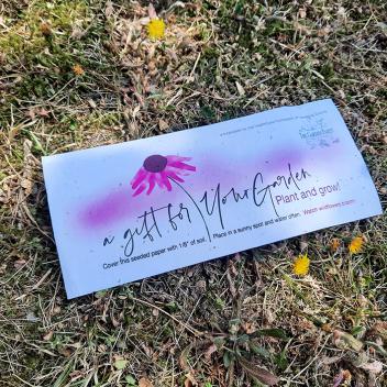 Product image 1 for Seed Paper Compliment Slips