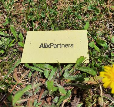 Product image 1 for Seed Paper Name Tags