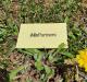 Product icon 1 for Seed Paper Name Tags
