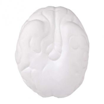 Product image 1 for Small Brain Stress Shape
