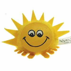 Product image 1 for Sun Logo Bug