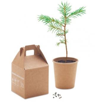 Product image 2 for Tree in a Box